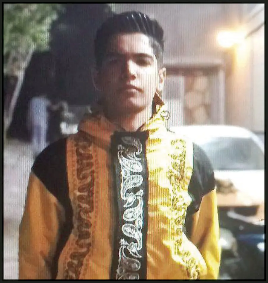 قتل ناموسی