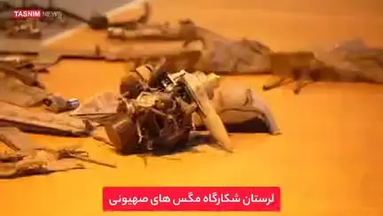 انهدام ‌پهپاد هرمس در ‌لرستان