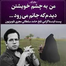 حامد سلطانی