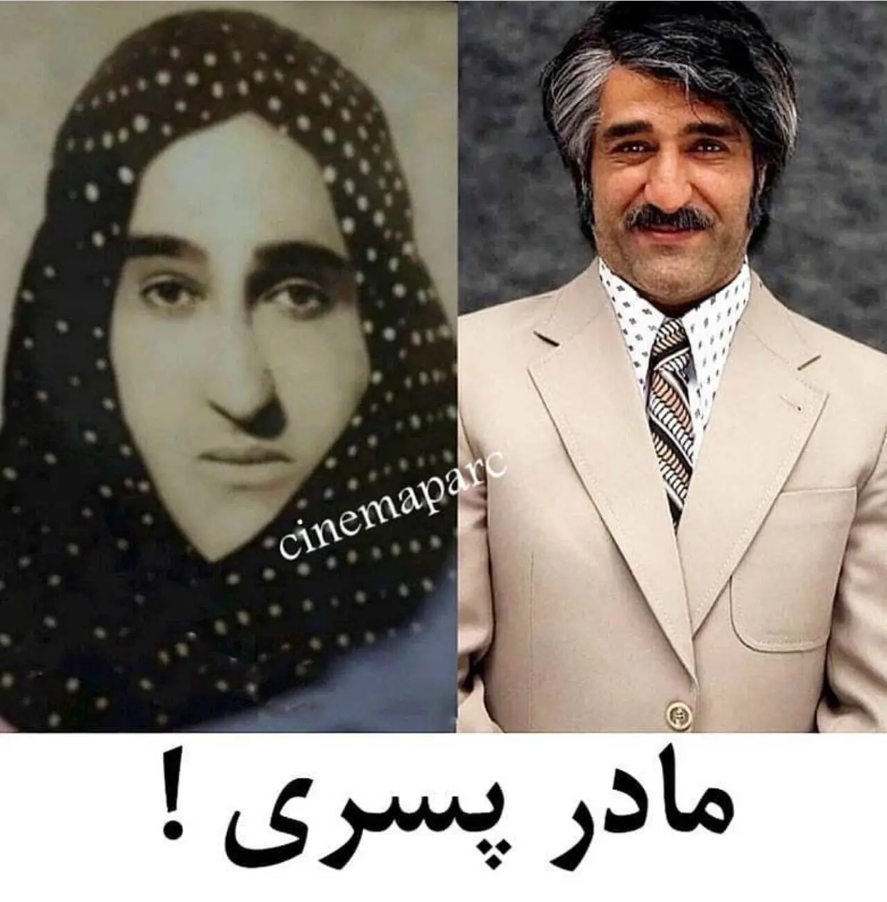 پژمان جمشیدی