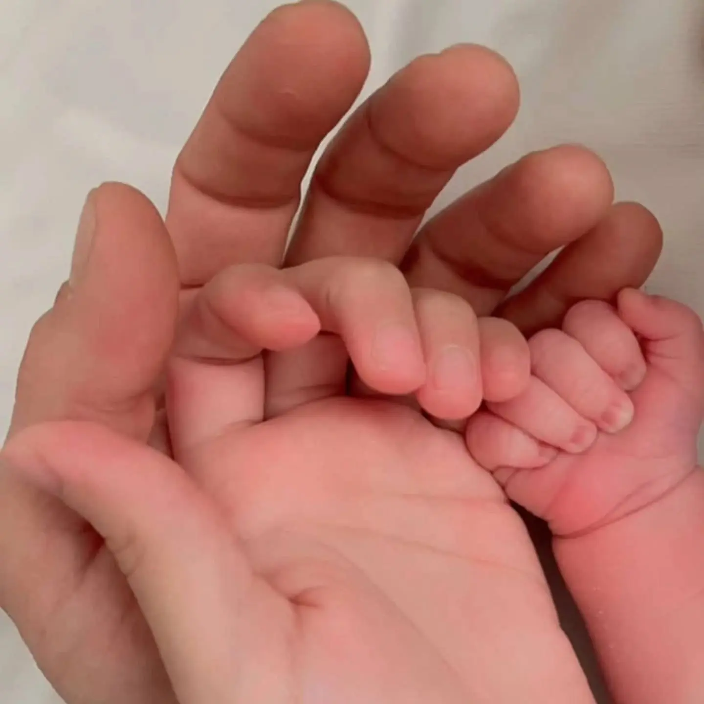 علیرضا اویسی