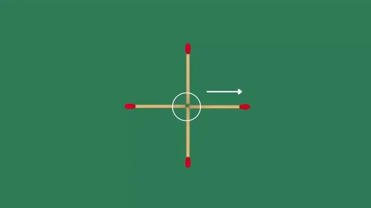 تست هوش 2