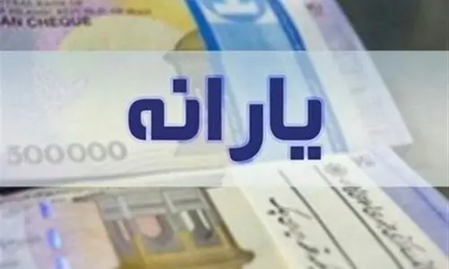 واریز یارانه نقدی ۱۰.۰۰۰.۰۰۰ تومانی برای کدام دهک های یارانه بگیر است؟ | طرح جدید پرداخت مستقیم یارانه نقدی به هر ایرانی 
