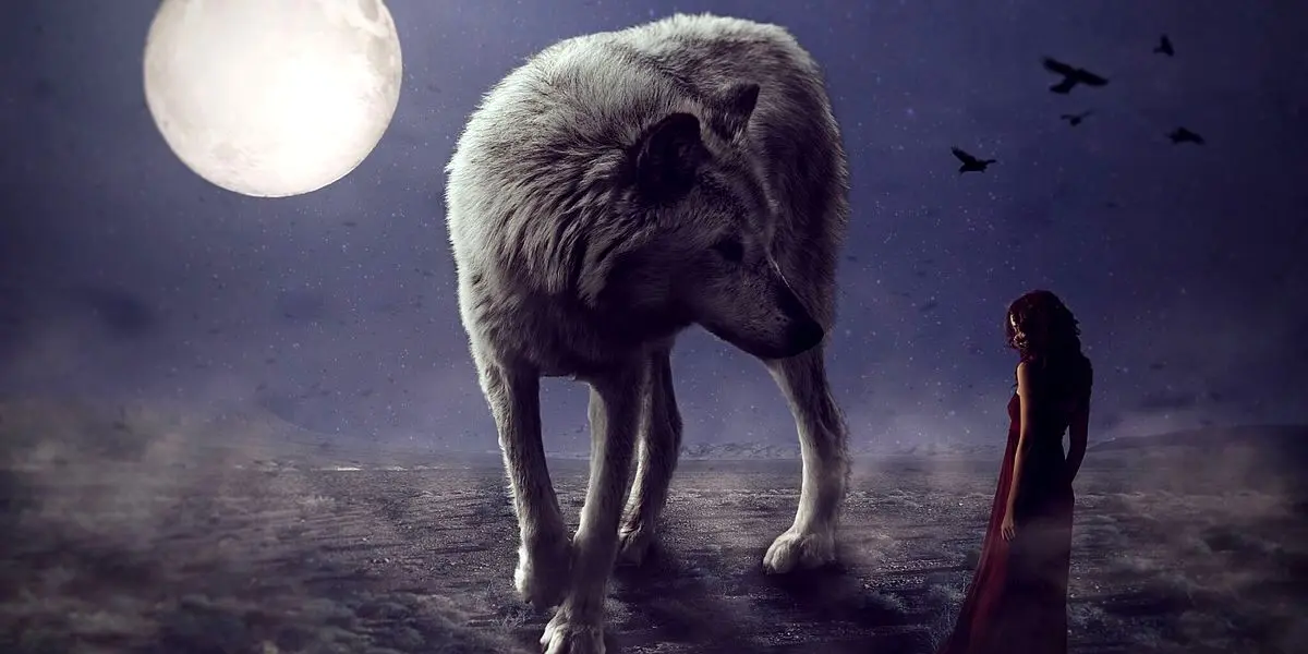 بگو اول چی دیدی تا بهت بگم تصمیمات منطقی یا احساسی | تست شخصیت شناسی

