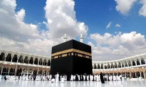 فوت ۶ زائر ایرانی از ابتدای حج ۱۴۰۴ | 26 نفر در بیمارستانها بستری هستند