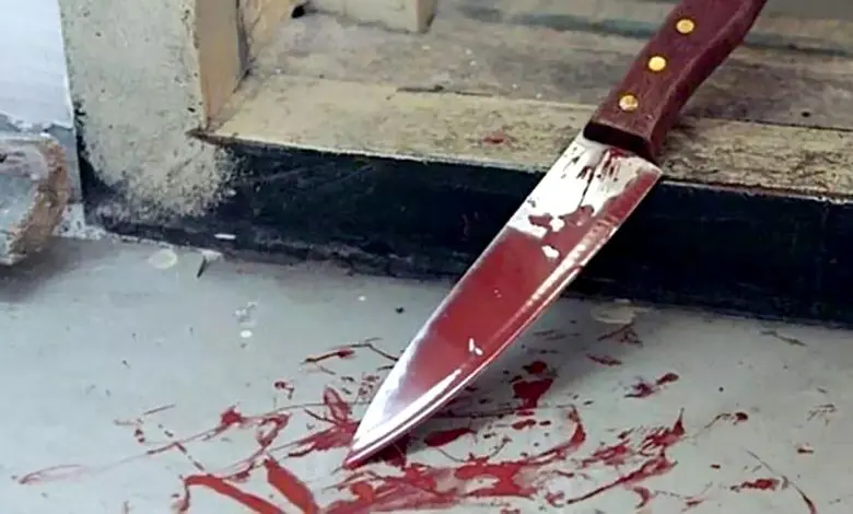 قتل وحشتناک صاحب رستوران به دست کارگرش | قاتل 17 ساله خودش را معرفی کرد