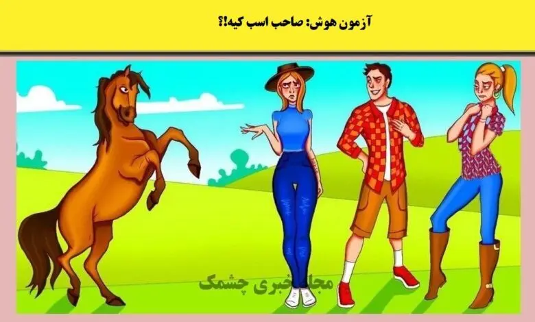 فقط یه نابغه میتونه تو 5 ثانیه بگه صاحب اسب کیه ؟ | تست هوش