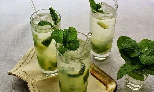 در این روزهای گرم خودت را به یک لیوان شربت نعناع دعوت کن ! | طرز تهیه شربت نعناع خوش طعم و آسان در منزل