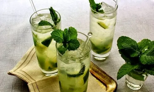 در این روزهای گرم خودت را به یک لیوان شربت نعناع دعوت کن ! | طرز تهیه شربت نعناع خوش طعم و آسان در منزل