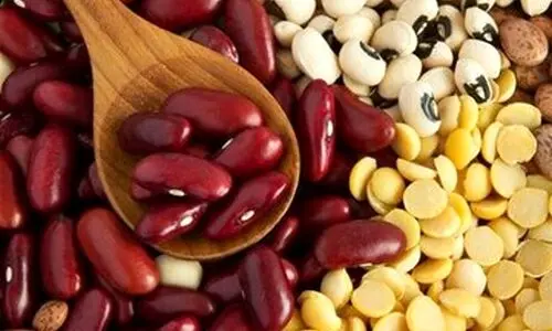 افزایش عجیب قیمت حبوبات در بازار | قیمت نخود و لوبیا چقدر شد ؟