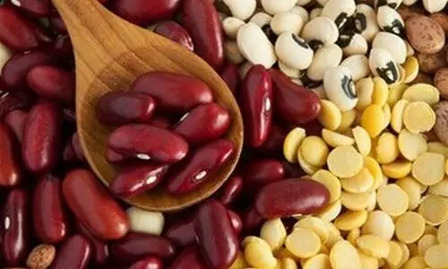 افزایش عجیب قیمت حبوبات در بازار | قیمت نخود و لوبیا چقدر شد ؟