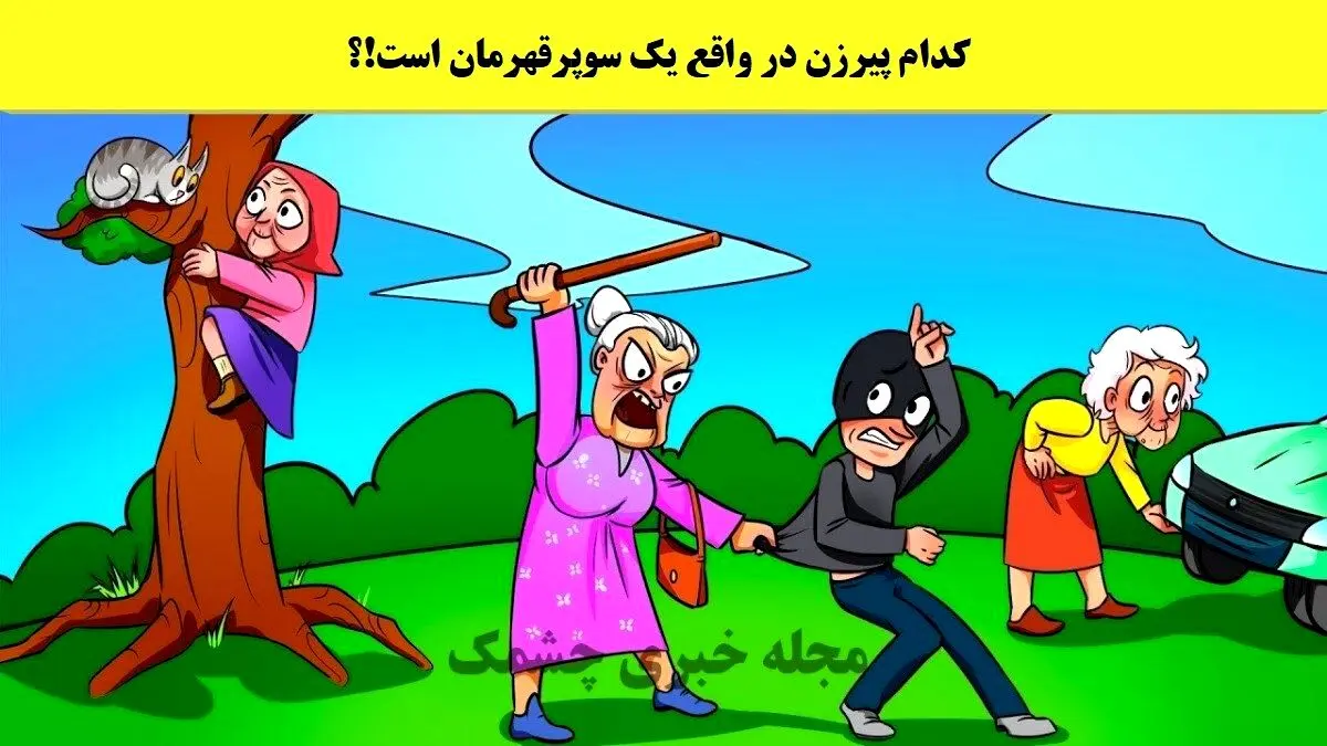 تست هوش | پیرزن با نیروی سوپر قهرمانی رو زیر 5 ثانیه پیدا کنید
