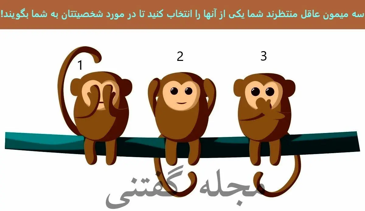 با انتخاب یک میمون حقایقی از زندگیت فاش میشه | تست شخصیت شناسی