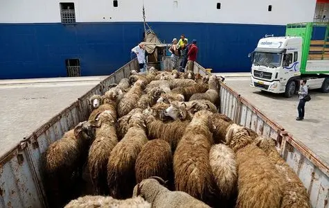 قیمت گوشت قرمز، امروز دوشنبه ۱۵ اردیبهشت ۱۴۰۴