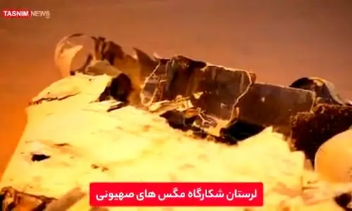 انهدام ‌پهپاد هرمس در ‌لرستان +عکس