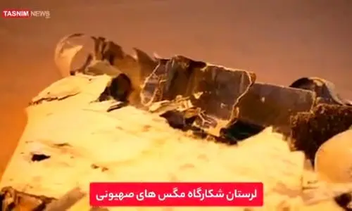انهدام ‌پهپاد هرمس در ‌لرستان +عکس