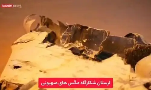 انهدام ‌پهپاد هرمس در ‌لرستان +عکس