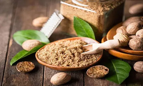 درمان معجزه آسای پیری زودرس در خانم ها | برای داشتن پوست زیبا بخوانید + دمنوش های ضد پیری