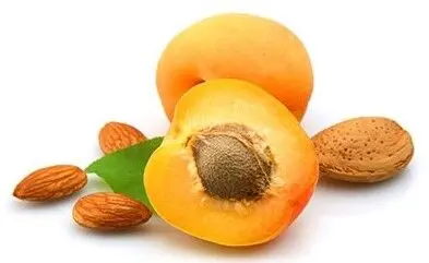 بلاخره مغز هسته زردآلو را بخوریم یا نه؟