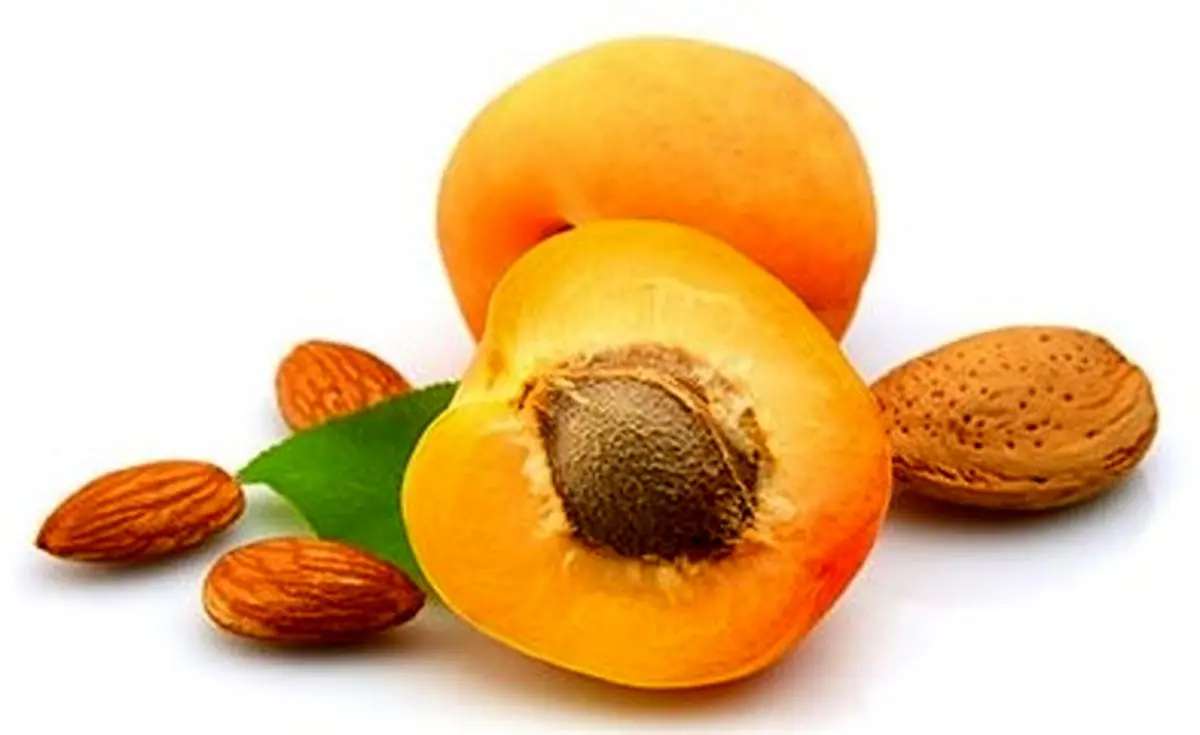 بلاخره مغز هسته زردآلو را بخوریم یا نه؟