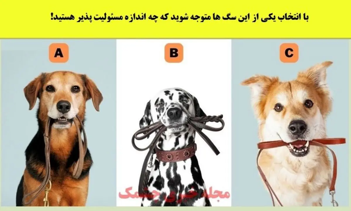 میخوای بدونی عشقت چقدر مسئولیت پذیره؟ این تست رو انجام بده | شخصیت شناسی جذاب