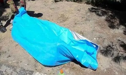 ماجرای پیدا شدن جمجمه انسان در باغچه خانه ویلایی | راز قتل فاش شد؟