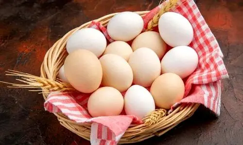 قیمت تخم مرغ یک ماهه دو برابر شد! | چرا تخم مرغ گران شد؟ | قیمت تخم مرغ در خرداد ۱۴۰۴