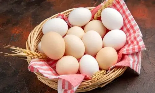 قیمت تخم مرغ یک ماهه دو برابر شد! | چرا تخم مرغ گران شد؟ | قیمت تخم مرغ در خرداد ۱۴۰۴