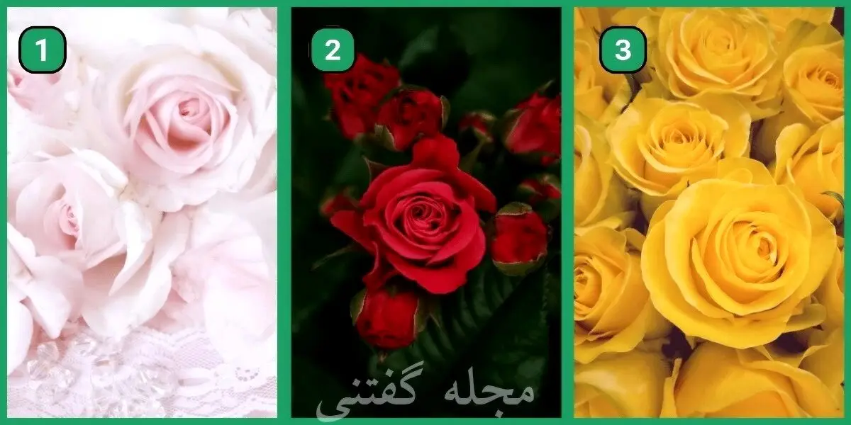 یک گل و انتخاب کن تا بگم بهت چقدر هنجار شکنی | تست شخصیت شناسی