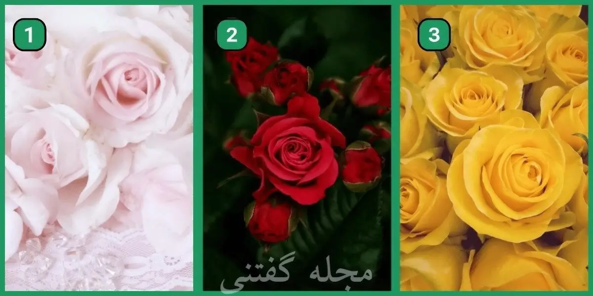یک گل و انتخاب کن تا بگم بهت چقدر هنجار شکنی | تست شخصیت شناسی