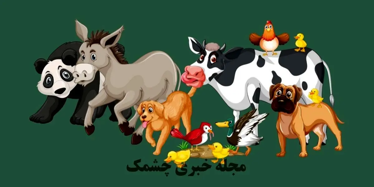 تست هوش| مشکل تصویر را در 3 ثانیه پیدا کن
