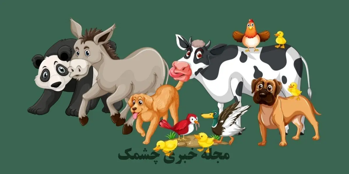 تست هوش| مشکل تصویر را در 3 ثانیه پیدا کن
