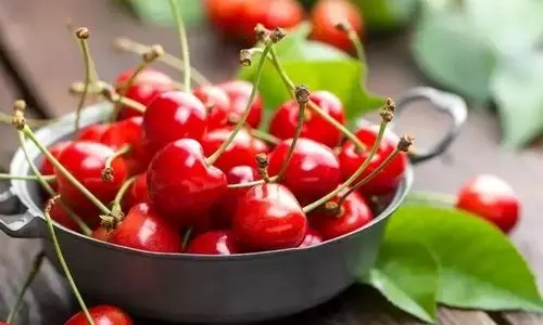 گیلاس کیلویی 1 میلیون شد | قیمت جدید انواع میوه در بازار + جدول