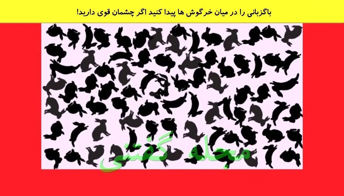 تست هوش | باگزبانی را در بین خرگوش ها پیدا کنید؟ اگر چشمان قوی دارید!
