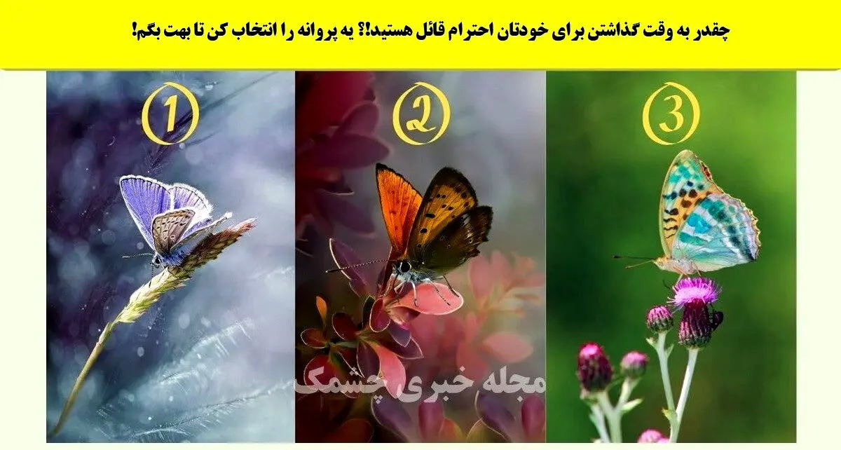 روانشناسی | میخوای بدونی چقدر عشقت بهت احترام قائله؟ این تست رو انجام بده
