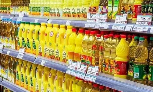 گرانی قیمت روغن نباتی در تیر ۱۴۰۴ | قیمت روغن از نیم میلیون گذشت