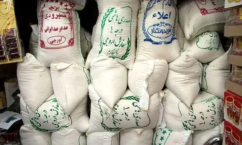 جدیدترین قیمت برنج ایرانی امروز ۱۵ خرداد ۱۴۰۴ | کیسه 10 کیلویی برنج نیم دانه چند شد ؟ + جدول
