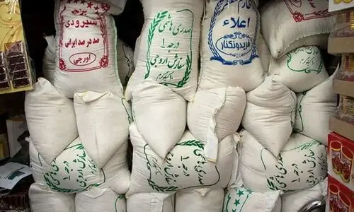 جدیدترین قیمت برنج ایرانی امروز ۱۵ خرداد ۱۴۰۴ | کیسه 10 کیلویی برنج نیم دانه چند شد ؟ + جدول