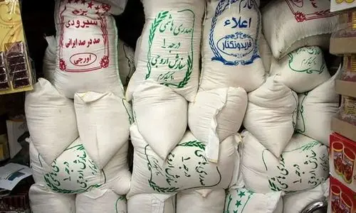 جدیدترین قیمت برنج ایرانی امروز ۱۵ خرداد ۱۴۰۴ | کیسه 10 کیلویی برنج نیم دانه چند شد ؟ + جدول