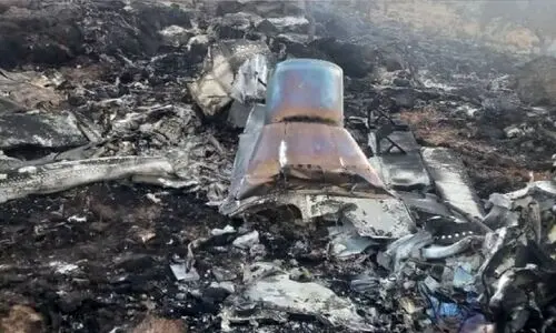 فهرست اسامی شهدای حادثه سقوط هواپیمای وزارت دفاع + جزئیات کامل حادثه
