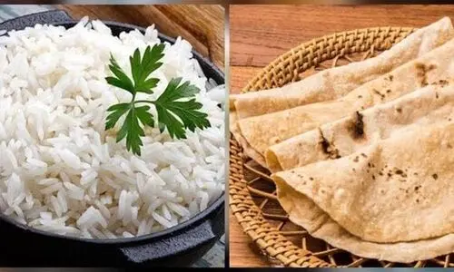 برای چاق شدن چی بخوریم؟ | غذاهای ممنوعه برای چاق شدن!
