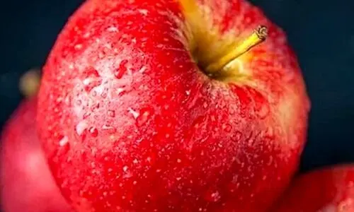 عمرا اگه میدونستی خوردن سیب ناشتا چه بلایی سرت میاره | مضرات خوردن سیب ناشتا