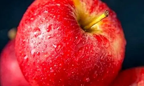 عمرا اگه میدونستی خوردن سیب ناشتا چه بلایی سرت میاره | مضرات خوردن سیب ناشتا