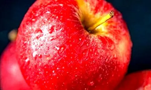 عمرا اگه میدونستی خوردن سیب ناشتا چه بلایی سرت میاره | مضرات خوردن سیب ناشتا
