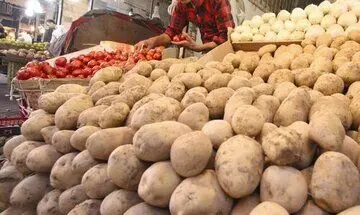 سیب‌زمینی دوباره گران شد + قیمت جدید سیب‌زمینی