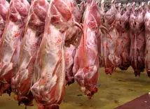 قیمت گوسفند زنده امروز ۲۷ خرداد ۱۴۰۳ در آستانه عید قربان اعلام شد