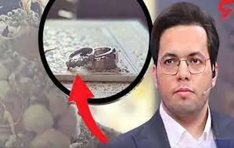 رونمایی حامد سلطانی از همسر دومش | آقای مجری یک سال بعد از فوت همسرش عاشق شد | تصویر دختر آقا حامد در آغوش مادر جدیدش