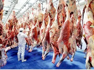 قیمت گوشت قرمز امروز ۳ بهمن۱۴۰۳ | شقه گوسفندی چند؟