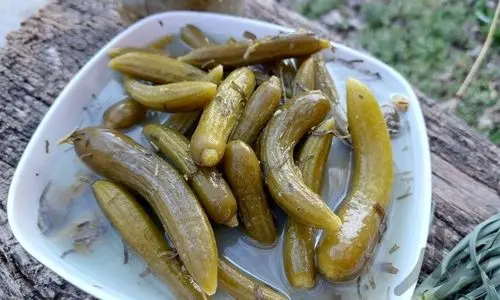 طرز تهیه خیار شور خانگی به سبک ساندویچی ها | فوت و فن درست کردن خیارشور