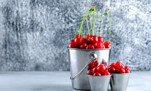 عوارض خطرناک مصرف آلبالو برای این افراد ! | آشنایی با مضرات مصرف آلبالو